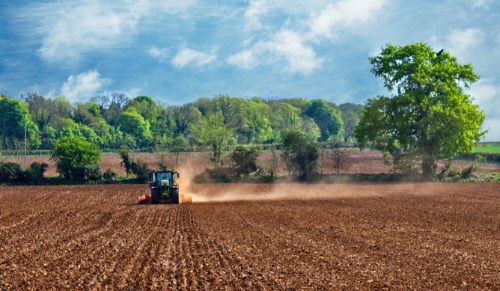 Highly Commended Colour: Raking the Soil by James Mann