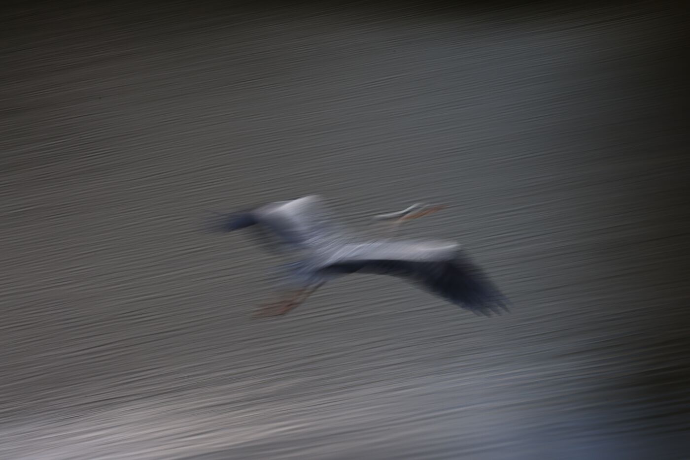 Rod Hollister Gone in a Blur 1