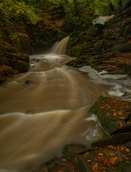 DPI H/C: Greyfields Falls