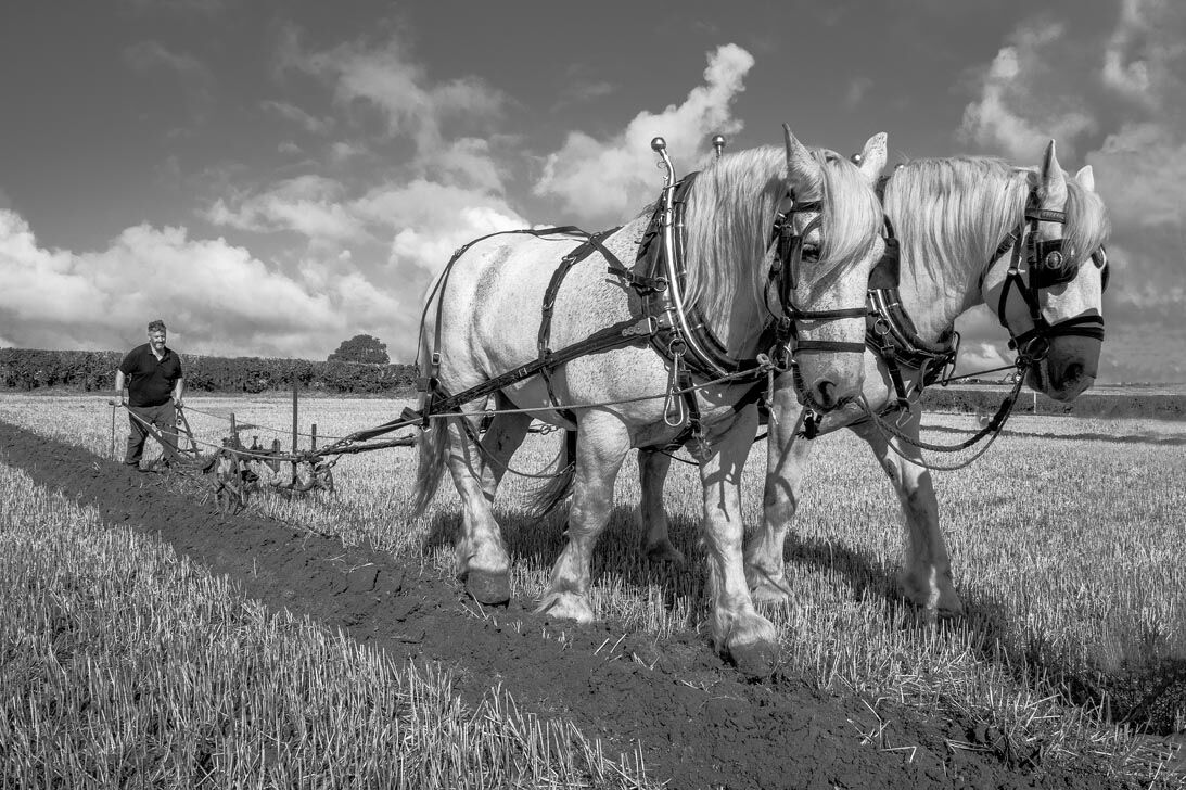 Roger Harvey Ploughing 1