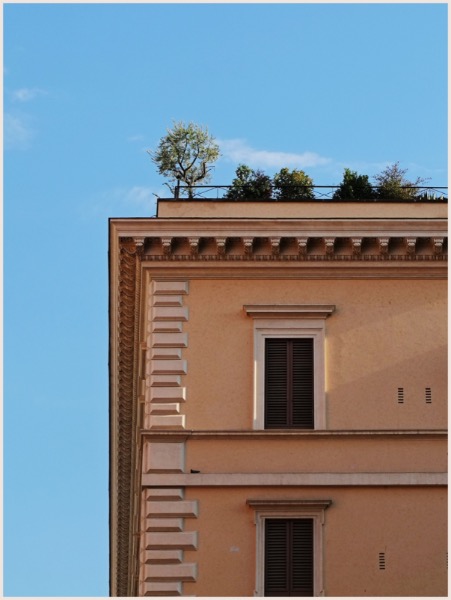 Roman Garden