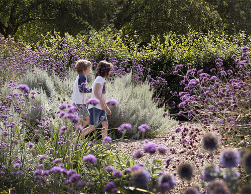 Running through the garden