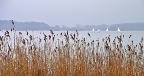 Commended Colour: Sailing Boats by James Mann