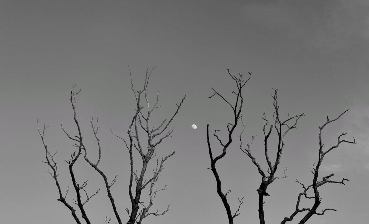 Sally Endersby Holding the Moon 1