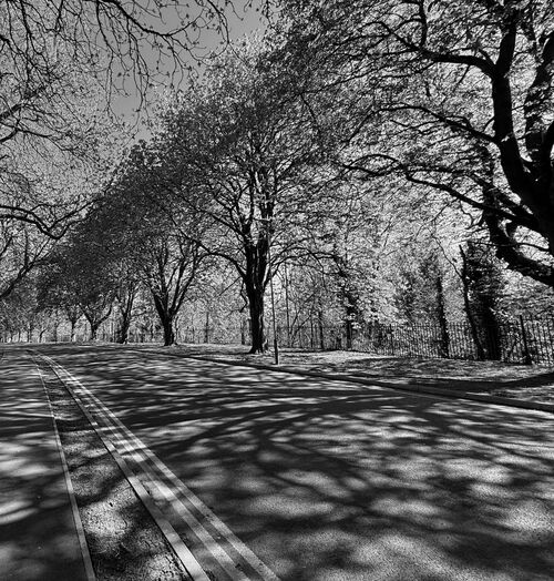 Sally Endersby The Avenue 1