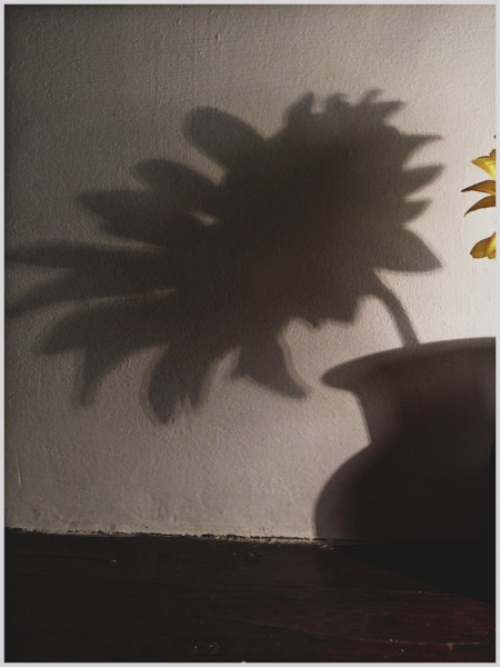 Shadow