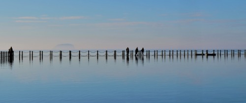 Colour Highly Commended: Silhouettes on the Causeway by Sheila Kibble