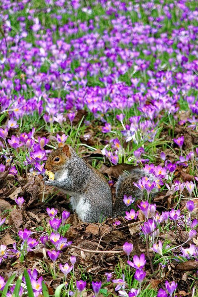 DPI 3rd :Spring Lunch