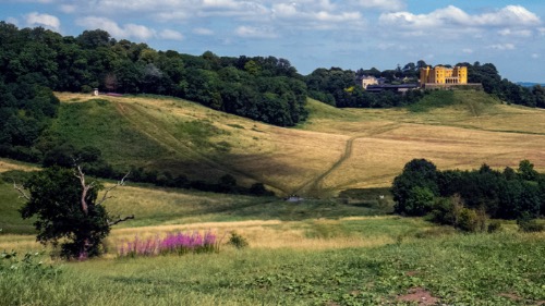 DPI Highly Commended: Stoke Park by Trish Lock