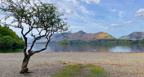 HC Trish Lock Receding Waters 1