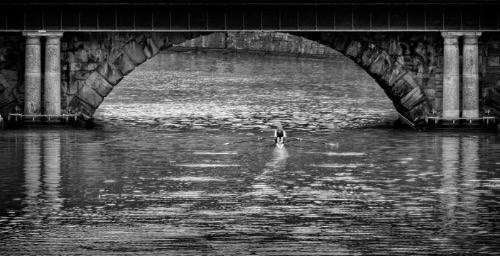 DPI Highly Commended: Under Bristol Bridge