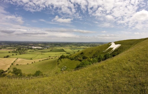 DPI 2nd Westbury Horse by Roger Harvey