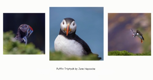 Programme Image 2024 2025