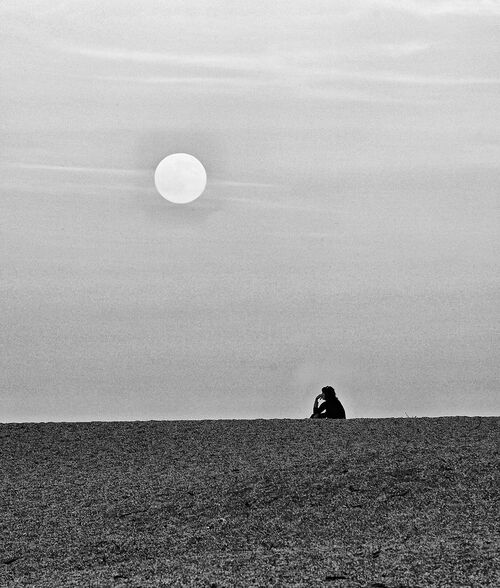 Commended: deep in thought