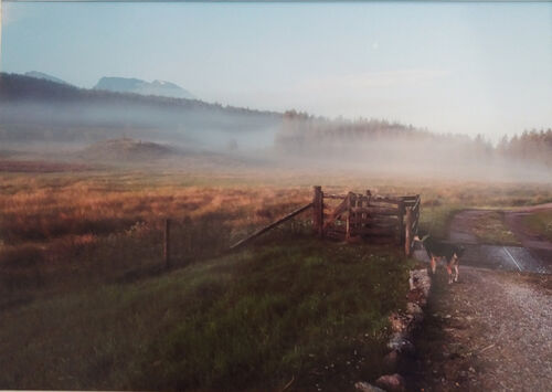 Early Morning Torlundy