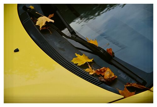 Autumn Colours