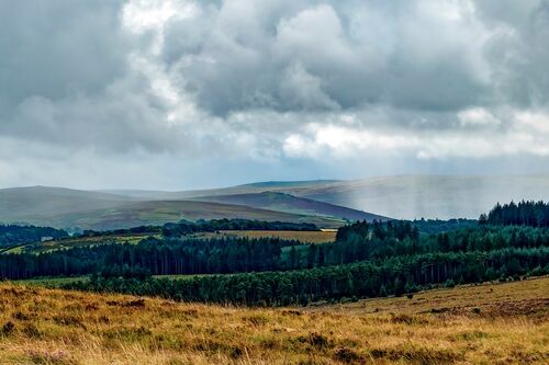 Dartmoor's Microclimate