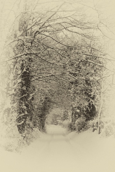 Highly Commended Monochrome: Snowy Lane by Judith Haines