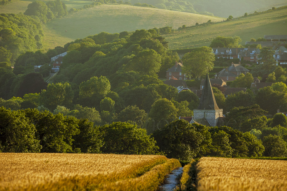 Summer evening on the South Downs