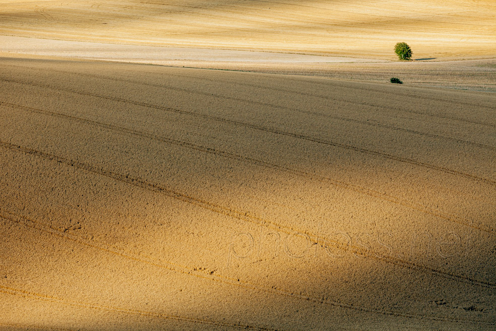 Summer afternoon on the South Downs in East Sussex