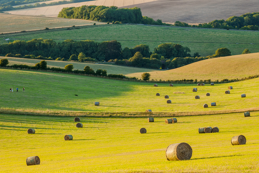 Hay Bales on the South Downs