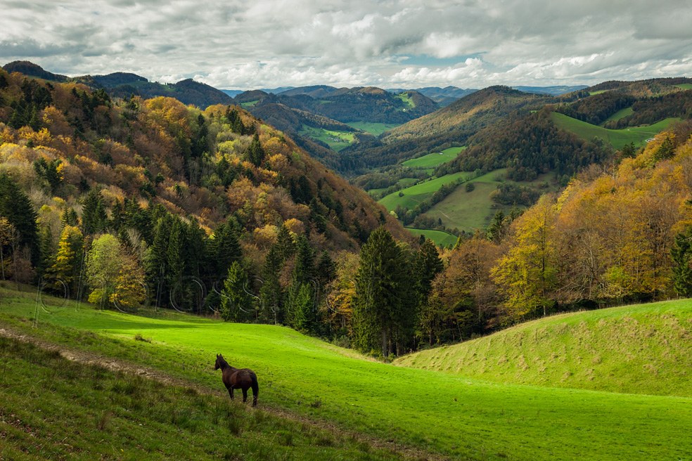 Autumn afternoon in Jura Mountains