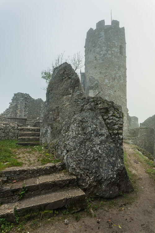 Neu-Falkenstein ruins