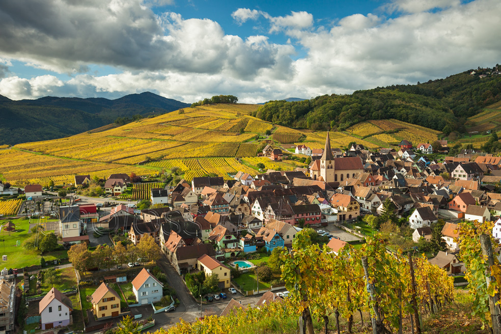 Autumn in Niedermorschwihr