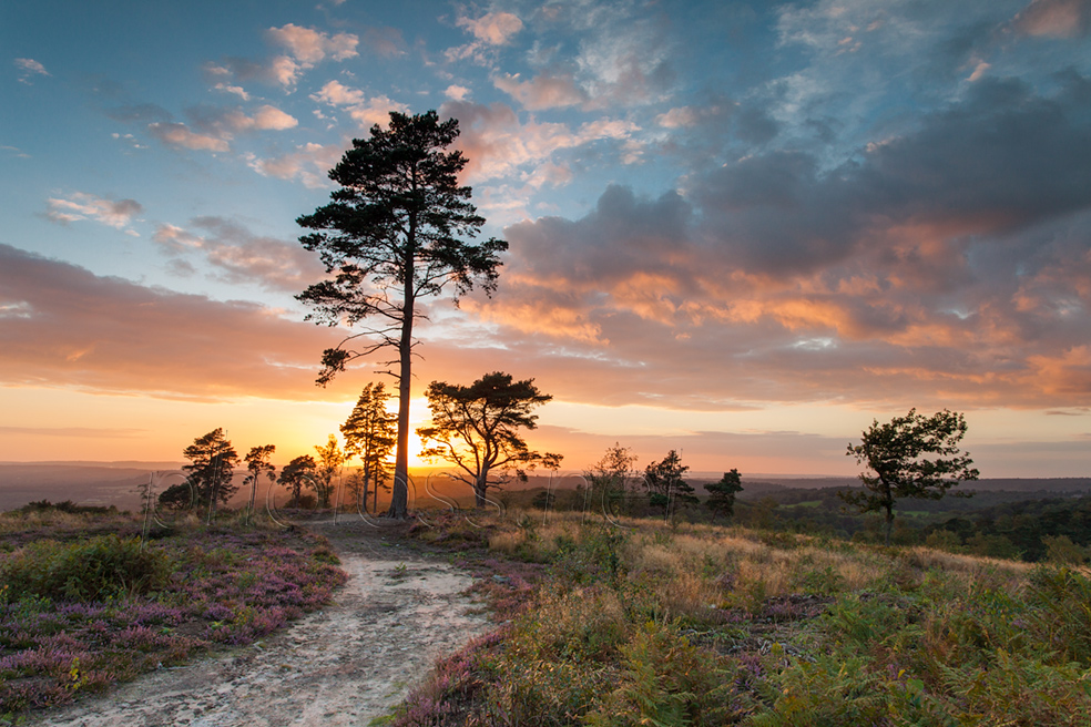 Sunset at Blackdown in West Sussex