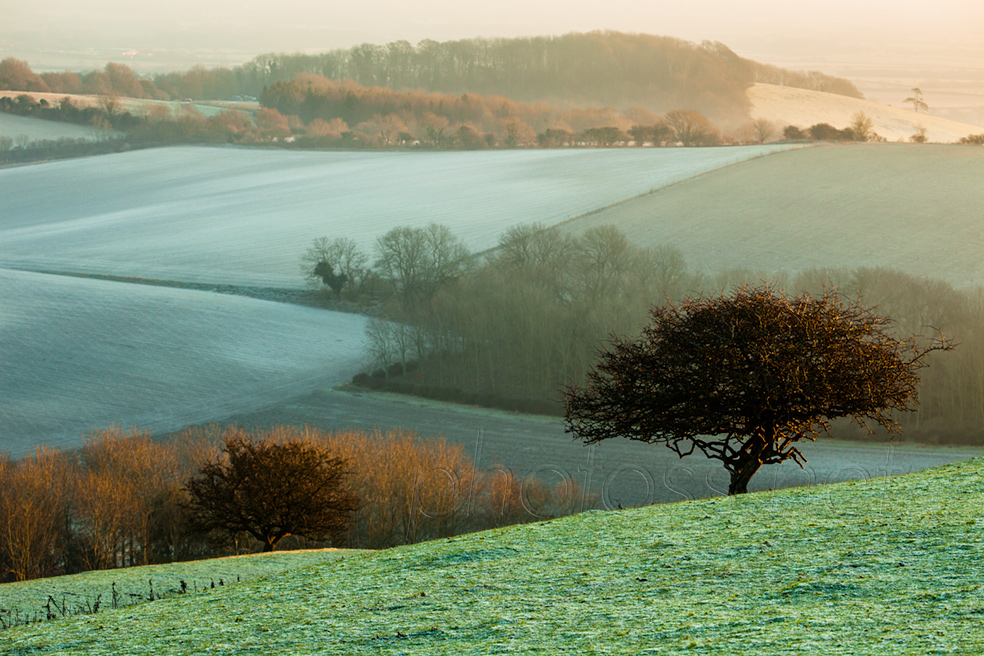 Frosty morning on the South Downs