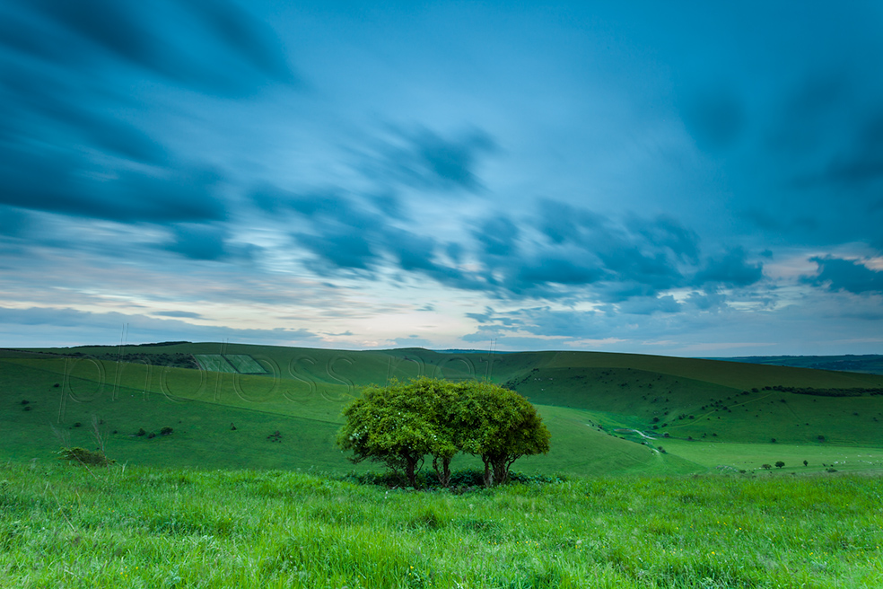 Spring evening on the South Downs in East Sussex