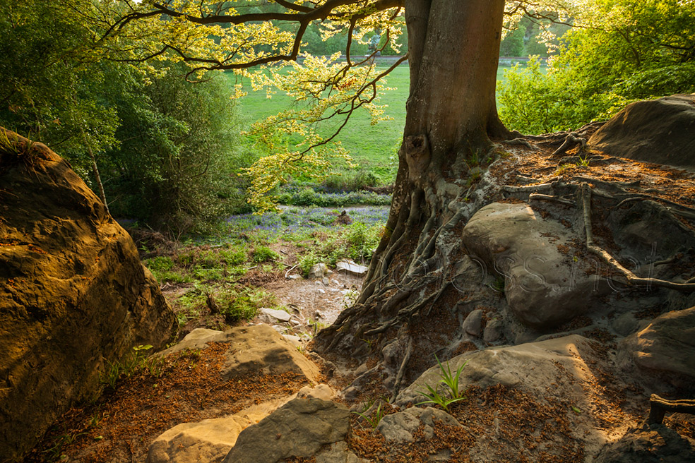 May evening on Harrison's Rocks
