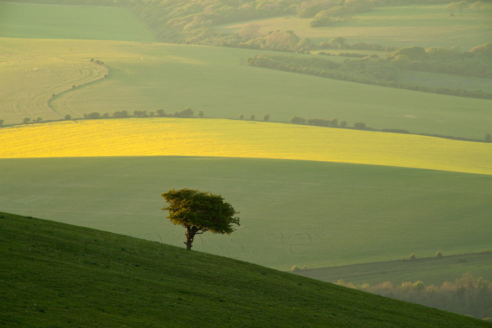 April afternoon on the South Downs near Lewes