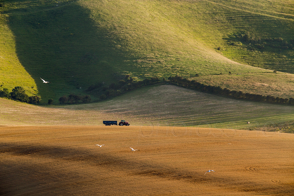 Summer on the South Downs near Lewes