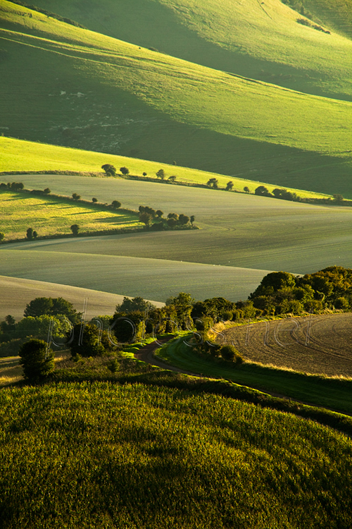 Summer afternoon on the South Downs in East Sussex