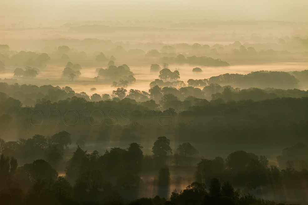 Morning mist near Plumpton in East Sussex