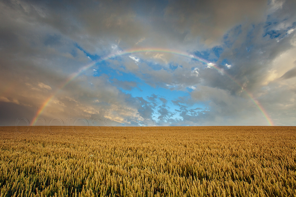 Summer rainbow on the South Downs