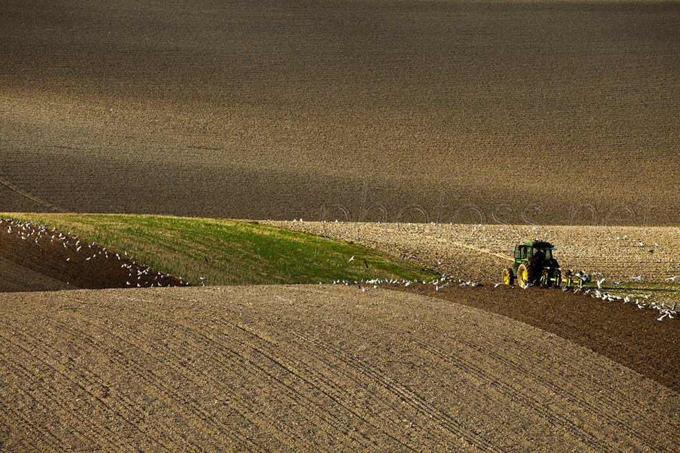 Early autumn on the South Downs in East Sussex