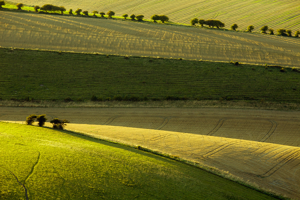 Summer afternoon on the South Downs in East Sussex