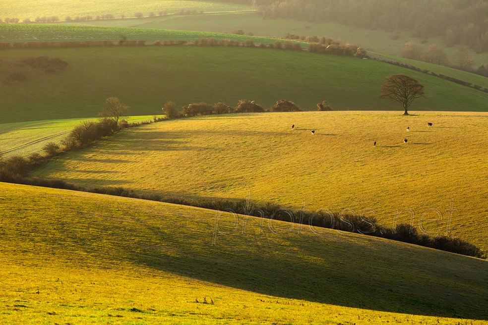 December morning on the South Downs near Brighton
