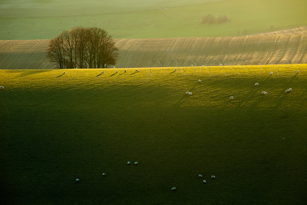 Winter on the South Downs near Brighton