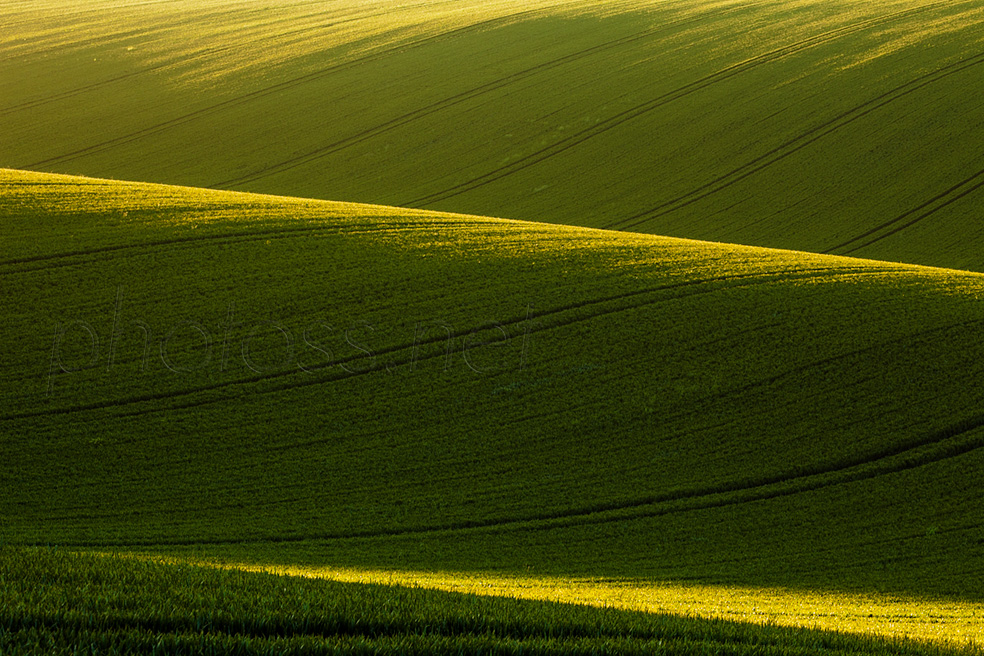 Spring evening on the South Downs in East Sussex