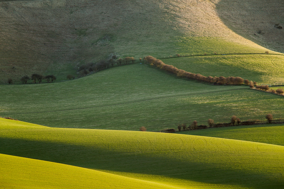 Early spring on the South Downs in East Sussex