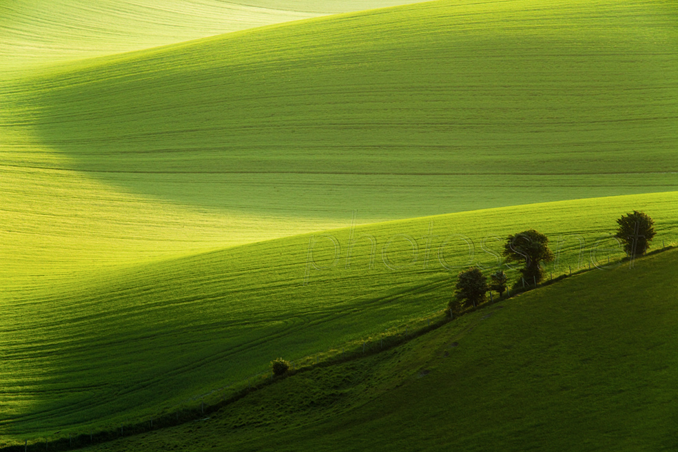 Spring morning on the South Downs in East Sussex