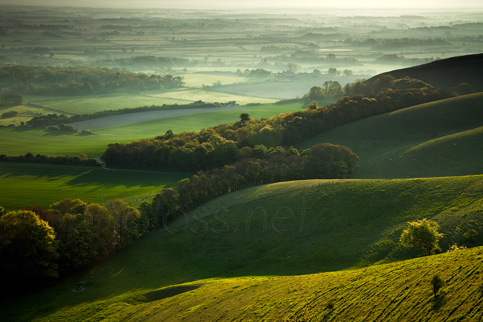 Spring morning on the South Downs in East Sussex