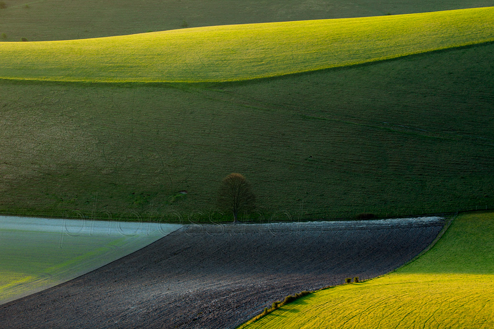 May morning on the South Downs in East Sussex