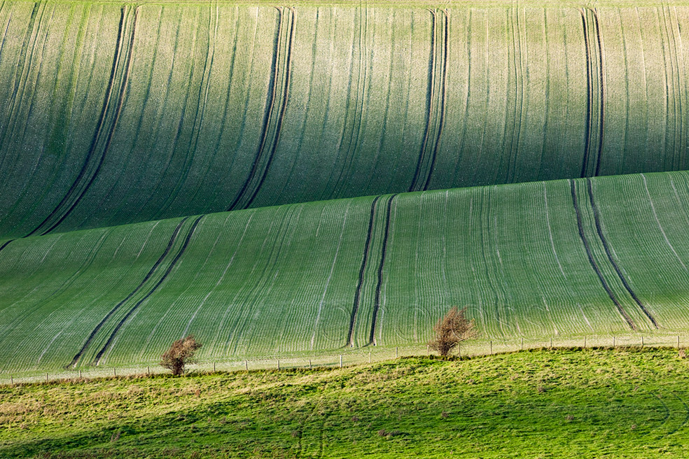 Autumn on the South Downs in East Sussex
