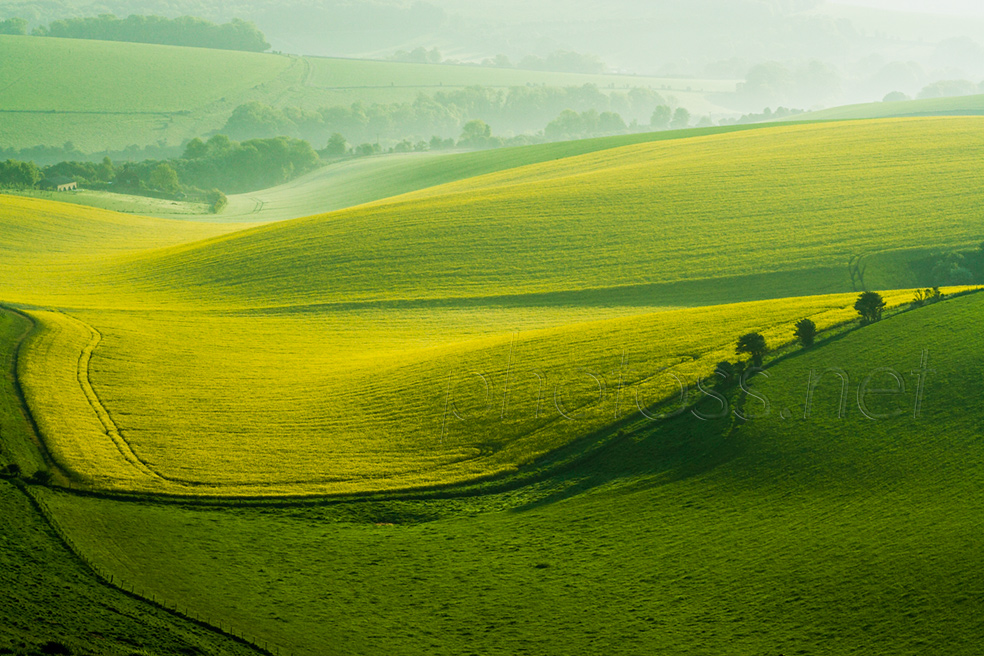Early morning on the South Downs in Sussex
