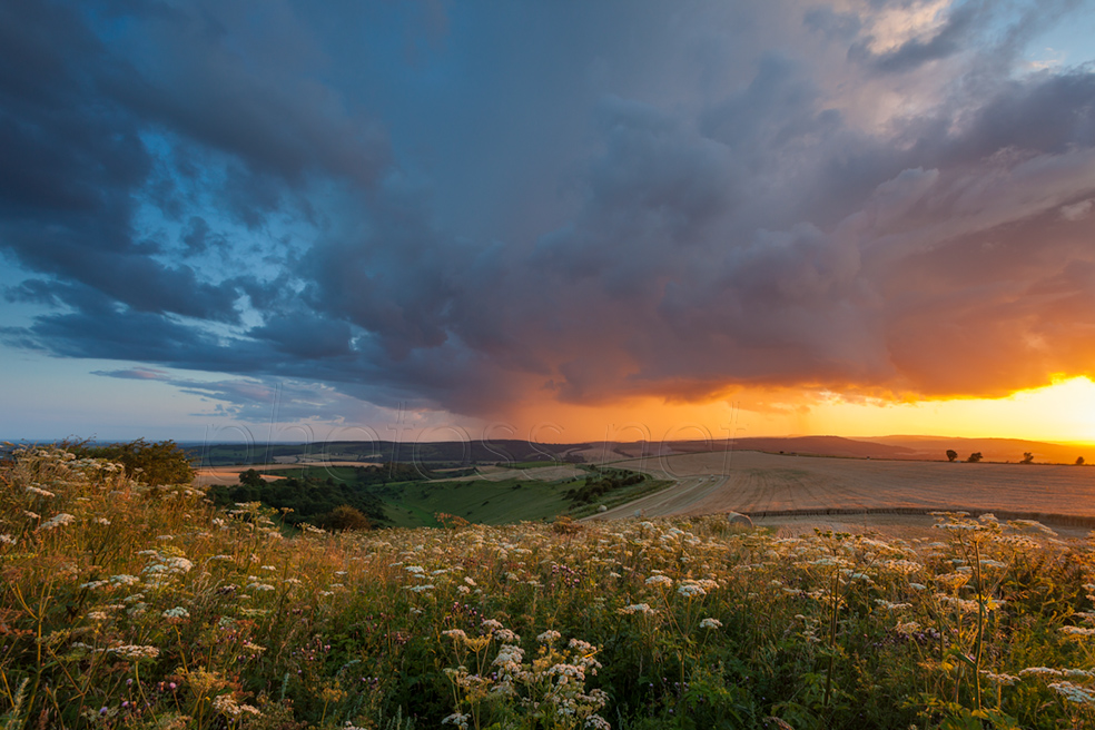 Summer sunset on the South Downs in West Sussex