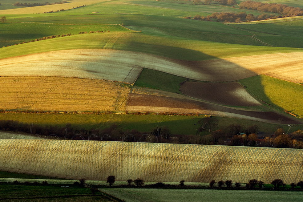 Winter afternoon on the South Downs in East Sussex